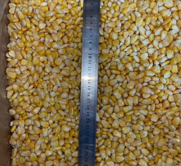 Кукуруза зерно 