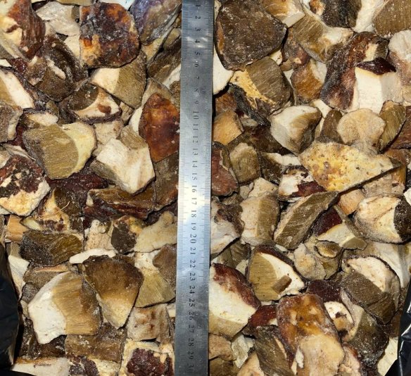 Гриб белый кубик