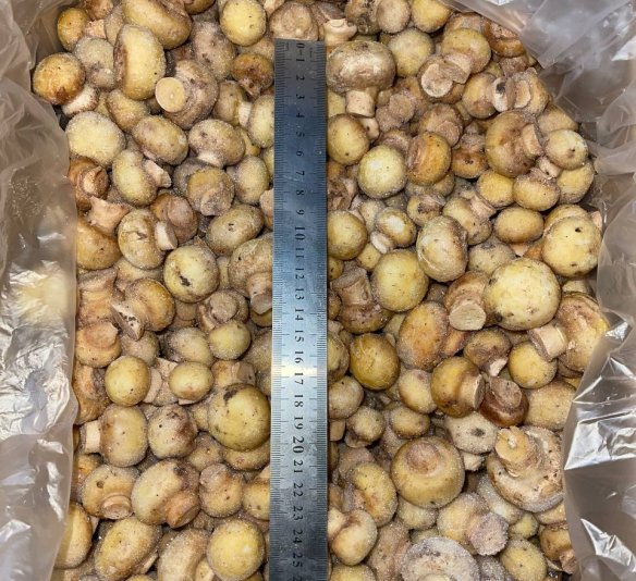 Шампиньоны целые