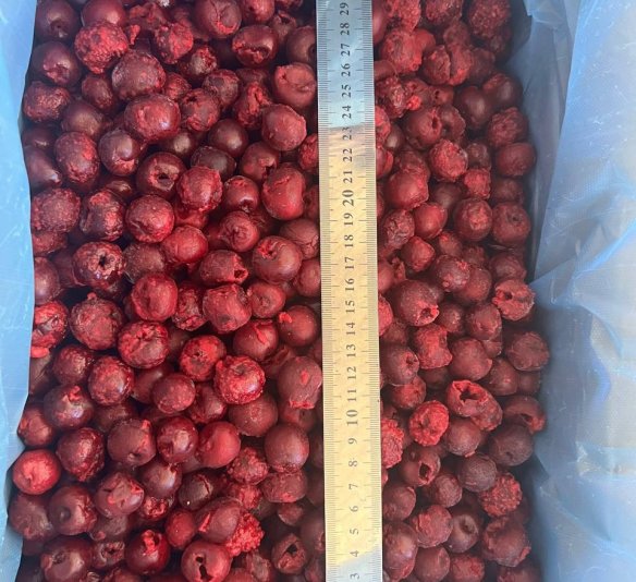 Вишня премиум без косточек