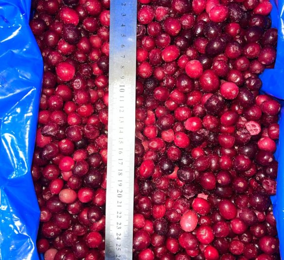 Клюква садовая